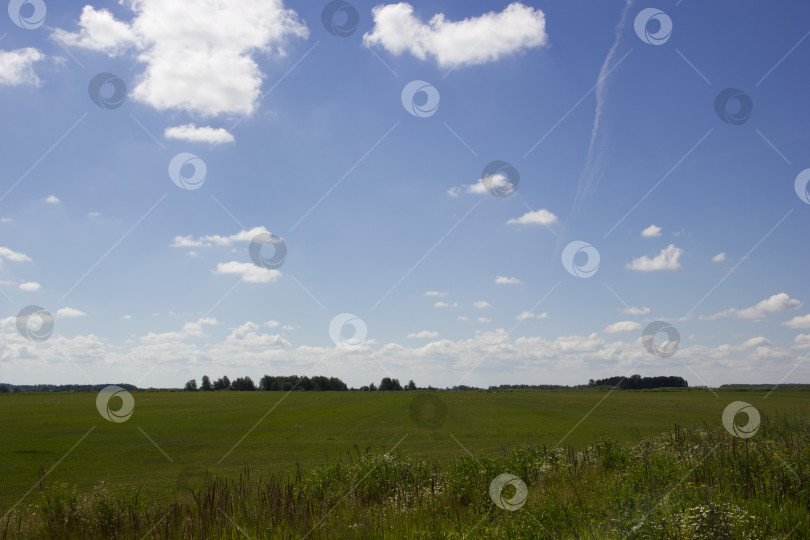 Скачать летний пейзаж с зеленым полем и голубым небом с белыми облаками. фотосток Ozero