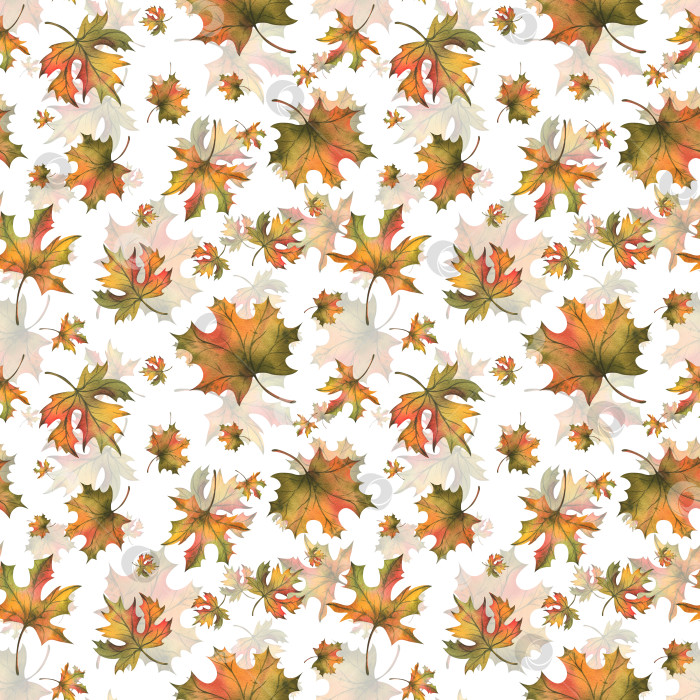 Скачать Осенью падают оранжевые кленовые листья. Рисованная акварельная иллюстрация. Бесшовный узор на белом фоне. фотосток Ozero