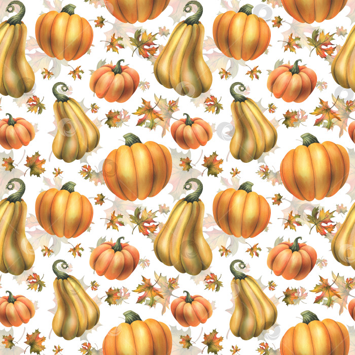 Скачать Оранжевые осенние тыквы с кленовыми листьями. Иллюстрация выполнена акварелью, от руки. Бесшовный узор на белом фоне фотосток Ozero