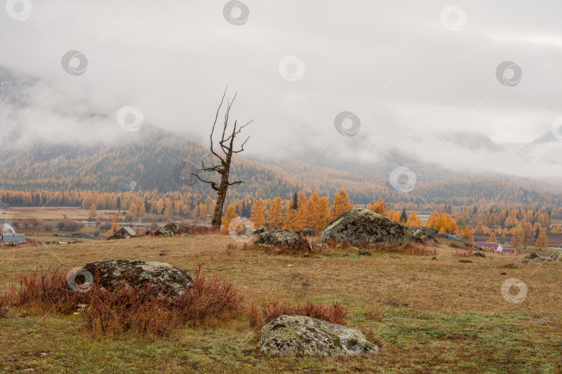 Скачать Золотой сентябрь в туманных горах. фотосток Ozero