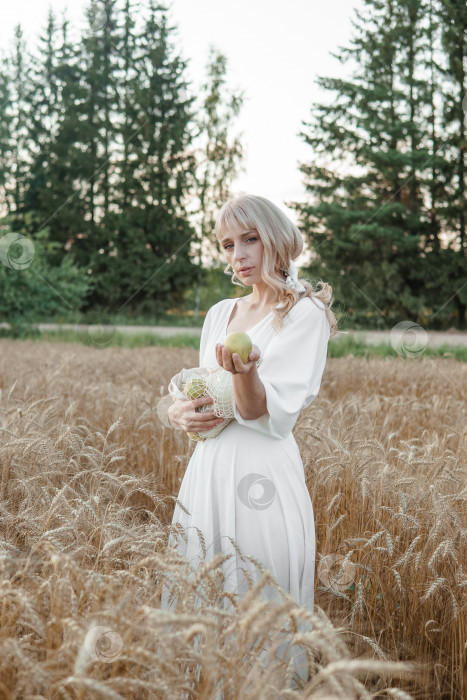 Скачать Светловолосая женщина в длинном белом платье прогуливается по пшеничному полю. Концепция свадьбы и прогулки на природе. фотосток Ozero