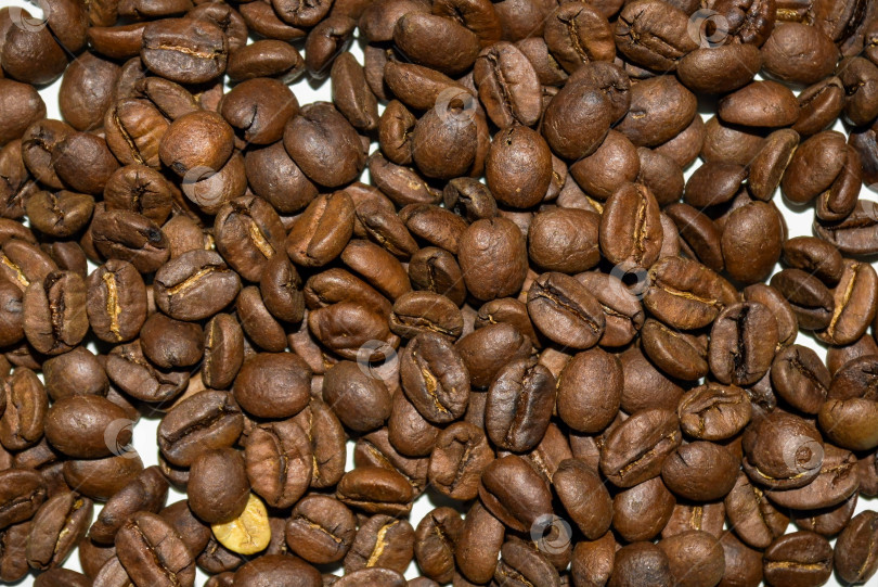 Скачать Кофейные зерна, выделенные на белом фоне фотосток Ozero
