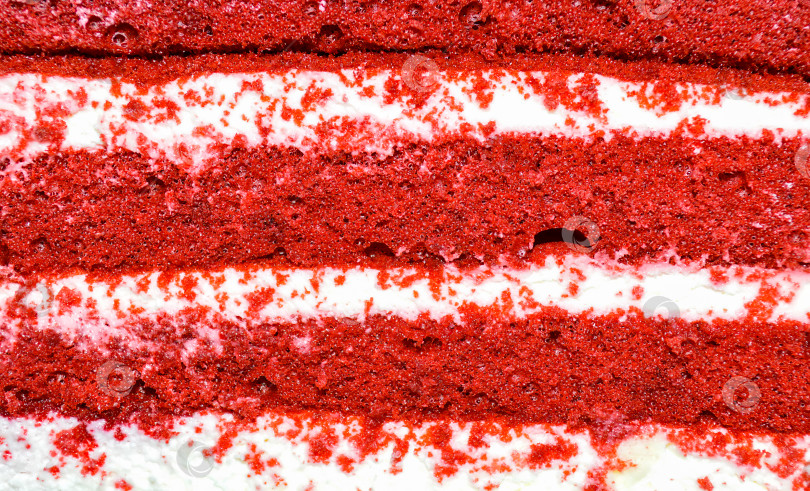 Скачать Вид разрезанного куска торта "Красный бархат" фотосток Ozero