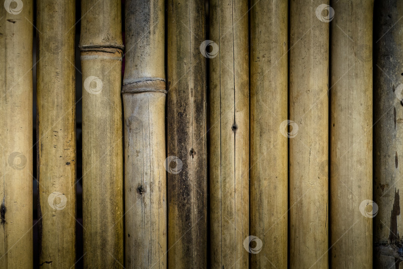 Скачать Бамбуковый забор с темной рамкой для фона фотосток Ozero