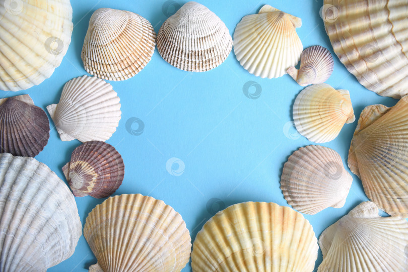Скачать Рамка в морском стиле, выполненная из ракушек японского морского гребешка на синем фоне. крупный план фотосток Ozero