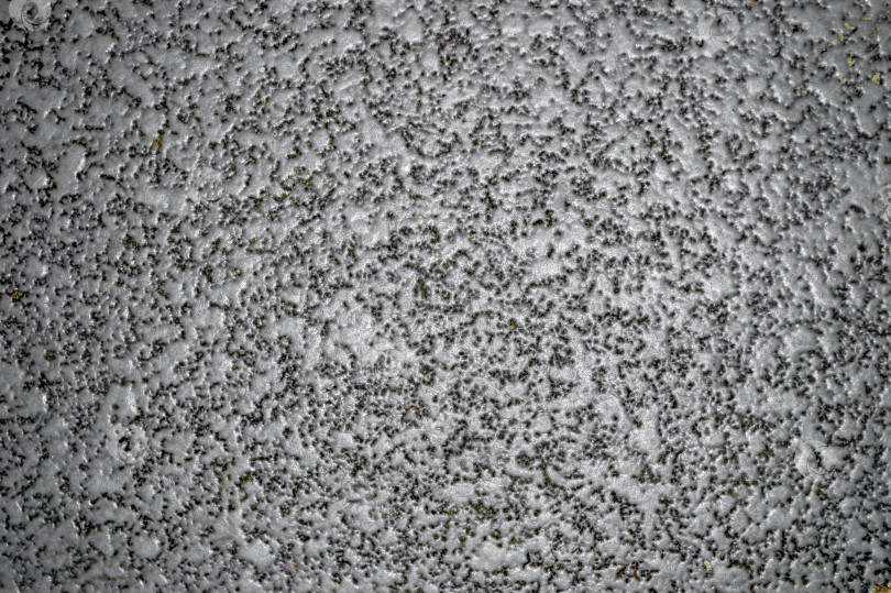 Скачать Монохромная текстура каменной плитки, используемой для облицовки пола или стен фотосток Ozero