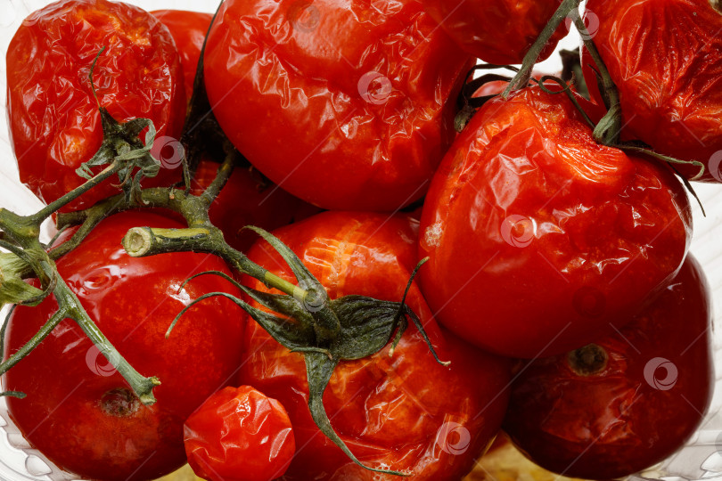 Скачать Замороженные красные помидоры, выделенные на белом фоне. фотосток Ozero