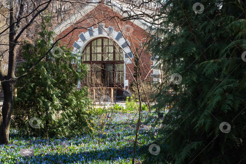 Скачать Пейзаж уютного сада, ели, дом и ковер из весенних цветов. фотосток Ozero