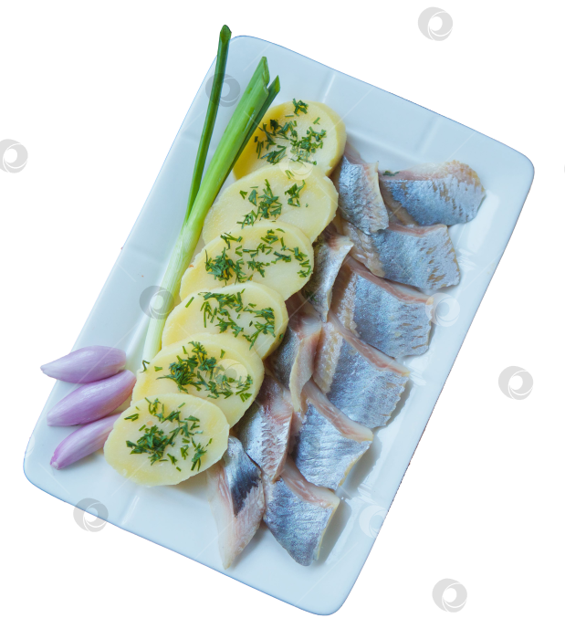 Скачать Рыба, сельдь, нарезанная кусочками, и картофель лежат на белой тарелке с зеленью. фотосток Ozero