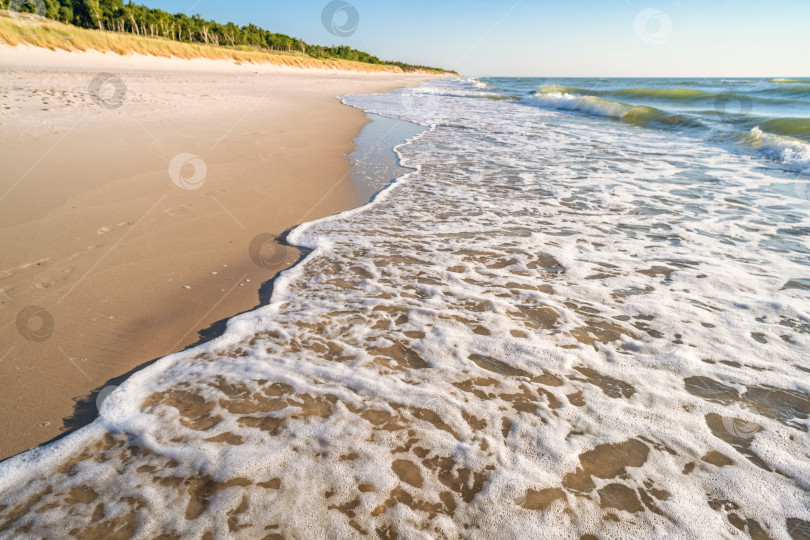 Скачать лазурные морские волны под голубым небом солнечным летним днем фотосток Ozero