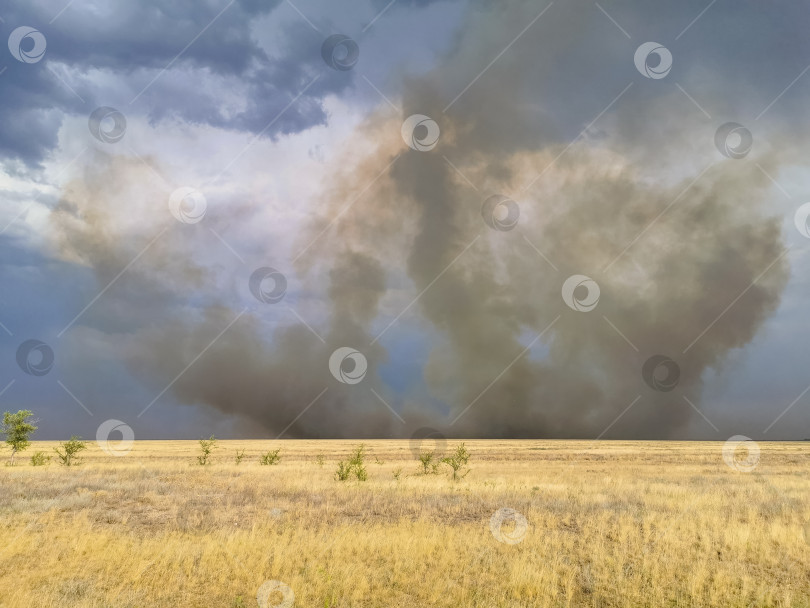 Скачать грозовое небо в поле, гроза в степи, пожар в степи фотосток Ozero