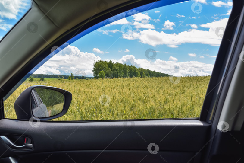 Скачать вид на пшеничное поле из окна автомобиля фотосток Ozero
