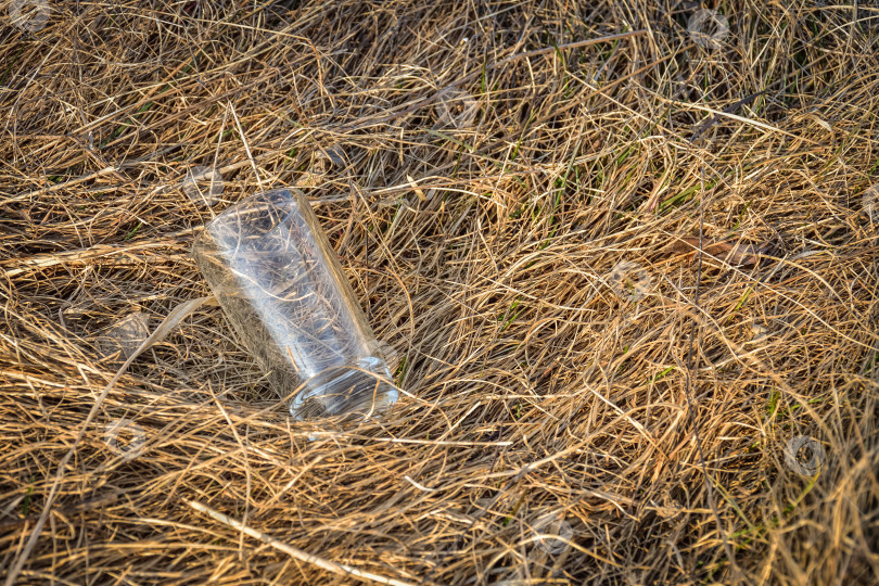 Скачать стеклянный стаканчик лежит в траве фотосток Ozero