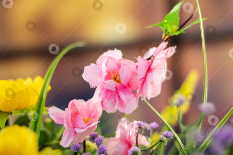Скачать Розовые цветы с капельками воды, яркие и свежие фотосток Ozero