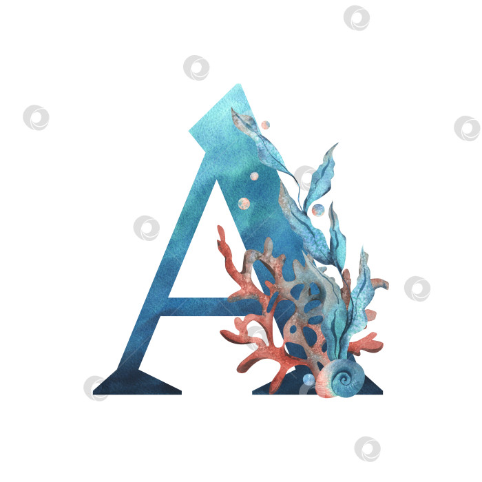 Скачать Заглавная буква A, часть латинского алфавита, оформлена в водной тематике с использованием кораллов, ракушек, водорослей, пузырьков, синего и кораллового цветов. Иллюстрация выполнена акварелью от руки. Элемент, выделенный на фоне. фотосток Ozero