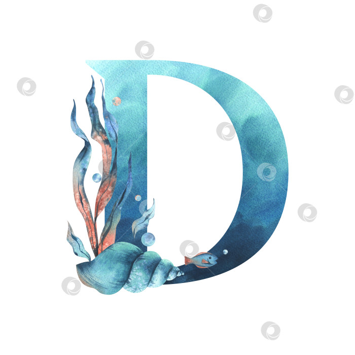 Скачать Заглавная буква D, часть латинского алфавита, оформлена в водной тематике с использованием кораллов, ракушек, водорослей, пузырьков, синего и кораллового цветов. Иллюстрация выполнена акварелью от руки. Элемент, выделенный на фоне. фотосток Ozero