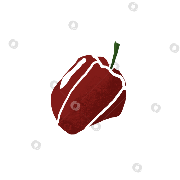 Скачать Свежий и вкусный красный болгарский перец на прозрачном фоне, символизирующий диету и концепцию питания. Рисованная иллюстрация фотосток Ozero