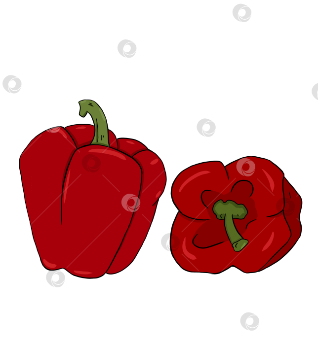 Скачать Два красных болгарских перца в простом стиле. Цифровая иллюстрация фотосток Ozero