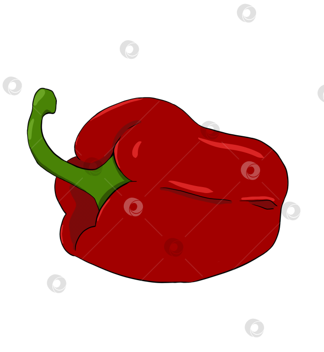 Скачать Один красный болгарский перец, цветная простая иллюстрация фотосток Ozero