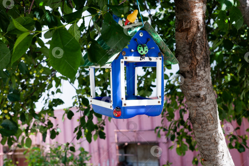 Скачать Синяя кормушка для птиц висит на ветке вишневого дерева перед домом фотосток Ozero