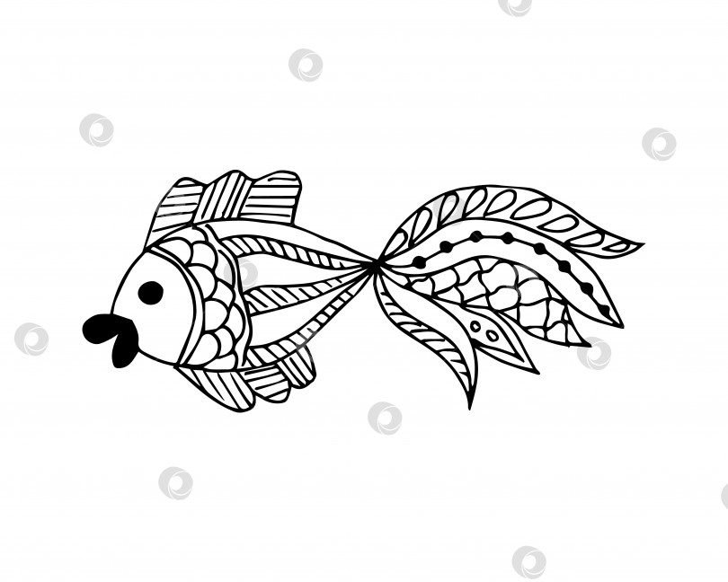 Скачать Нарисованная от руки рыба в стиле каракулей или эскизов, отдельный элемент в черно-белом цвете фотосток Ozero