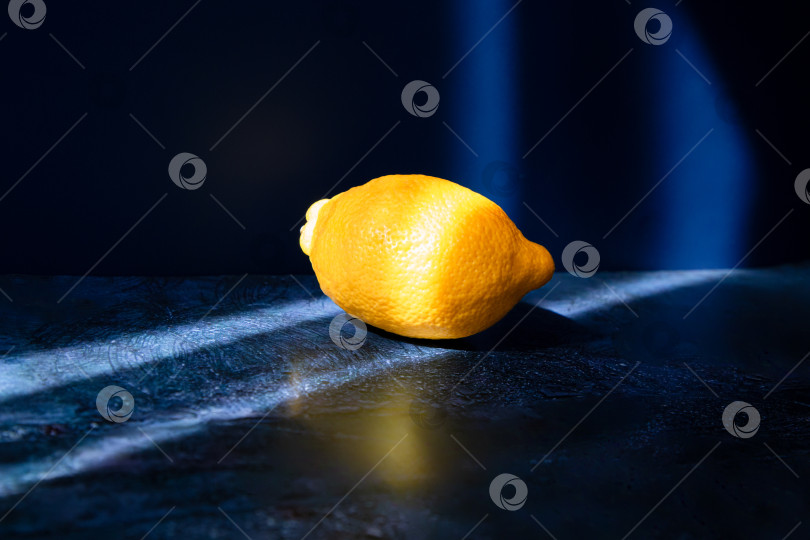 Скачать Лимон на синем фоне натюрморт фотосток Ozero