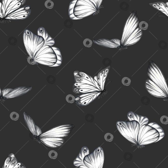 Скачать Бесшовный узор с серыми летящими бабочками на черном фоне. Акварельная иллюстрация, выполненная от руки. Для текстиля, обоев и фонов. Для упаковочной бумаги и этикеток, печати фотосток Ozero