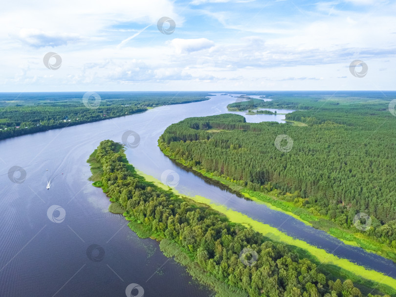 Скачать Полет над рекой, река в лесу с высоты птичьего полета фотосток Ozero