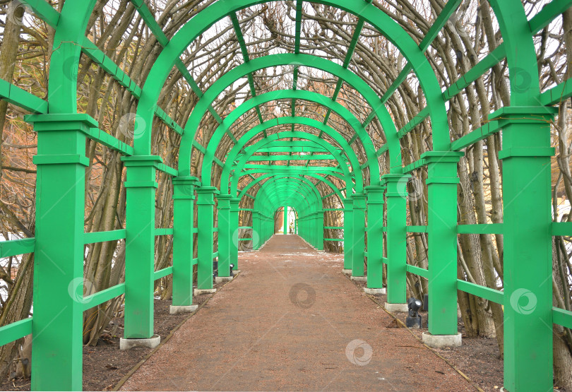 Скачать зеленый металлический туннель в саду, металлическая зеленая рама фотосток Ozero