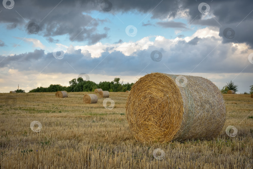 Скачать круглый стог сена на фоне неба фотосток Ozero