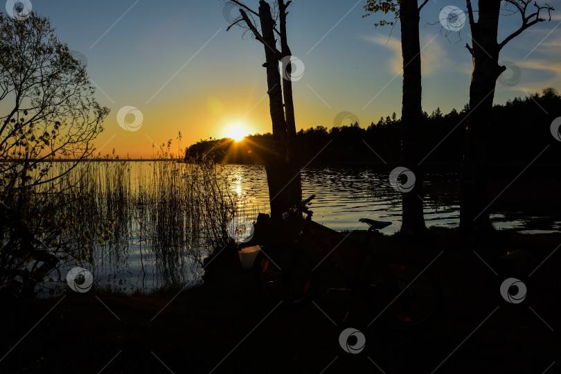 Скачать силуэты деревьев на фоне заката на озере фотосток Ozero