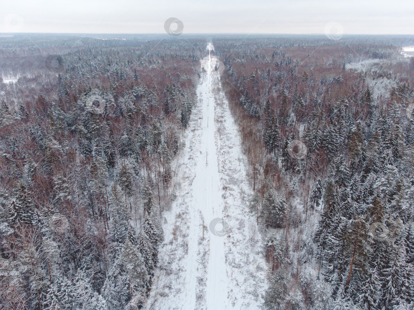 Скачать вид сверху на дорогу в зимнем лесу фотосток Ozero