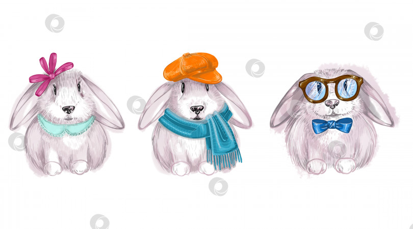 Скачать Милые кролики в оправе из очков, шарфа и банта. Художественная иллюстрация, выделенная на белом фоне фотосток Ozero