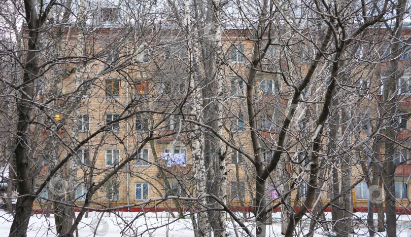 Скачать жилое здание сквозь зимние деревья фотосток Ozero