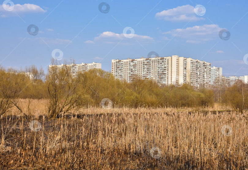 Скачать городское болото, вид на спальный район из парка фотосток Ozero