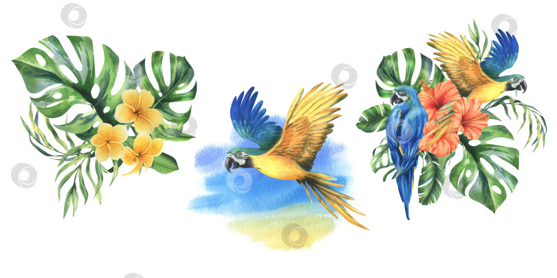 Скачать Тропические пальмовые листья, монстера и цветы плюмерии, гибискус, ярко-сочный сине-желтый попугай ара. Ботаническая иллюстрация, выполненная вручную акварелью. Набор элементов, выделяющихся на фоне фотосток Ozero