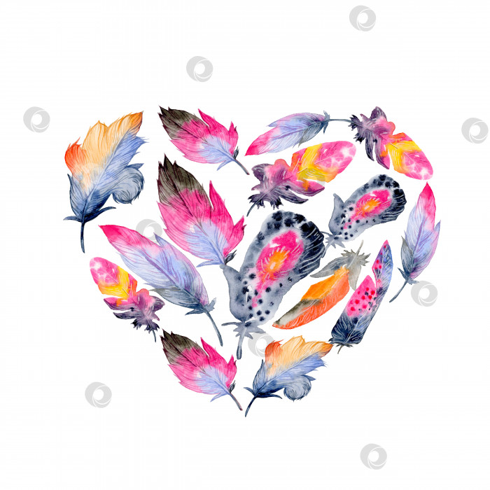 Скачать Перья. Винтажная композиция в виде сердца в стиле бохо. Акварельная иллюстрация, нарисованная от руки фотосток Ozero
