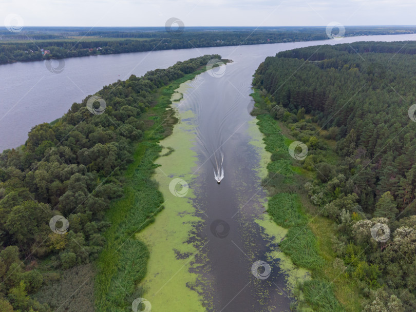 Скачать Полет над рекой, река в лесу с высоты птичьего полета фотосток Ozero