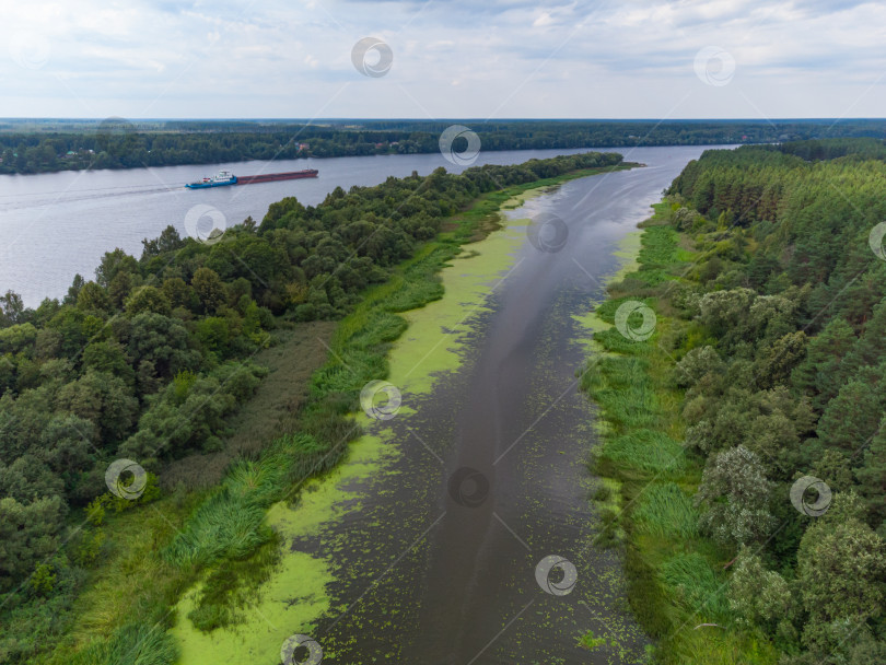 Скачать Полет над рекой, река в лесу с высоты птичьего полета фотосток Ozero