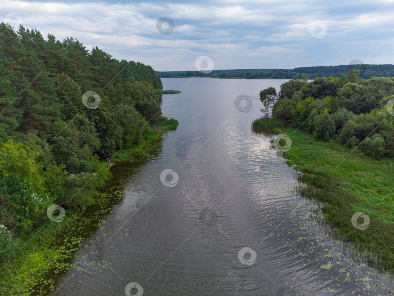 Скачать Полет над рекой, река в лесу с высоты птичьего полета фотосток Ozero