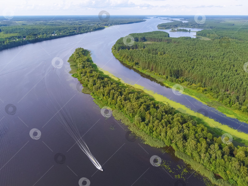 Скачать Полет над рекой, река в лесу с высоты птичьего полета фотосток Ozero