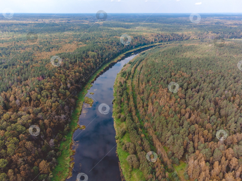 Скачать Полет над рекой, река в лесу с высоты птичьего полета фотосток Ozero