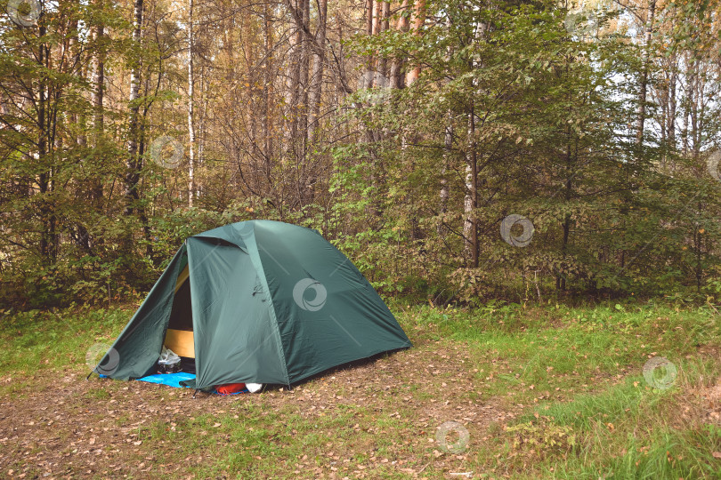 Скачать палатка в сосновом бору, кемпинг в лесу фотосток Ozero