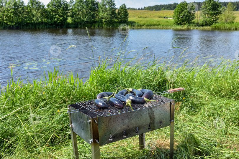 Скачать баклажаны на гриле, приготовление баклажанов на природе фотосток Ozero