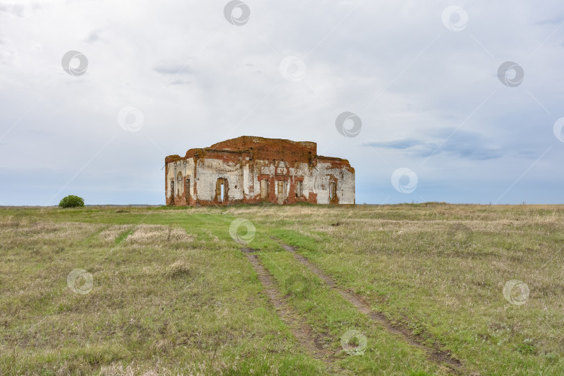 Скачать разрушенный кирпичный храм в поле, заброшенная церковь фотосток Ozero