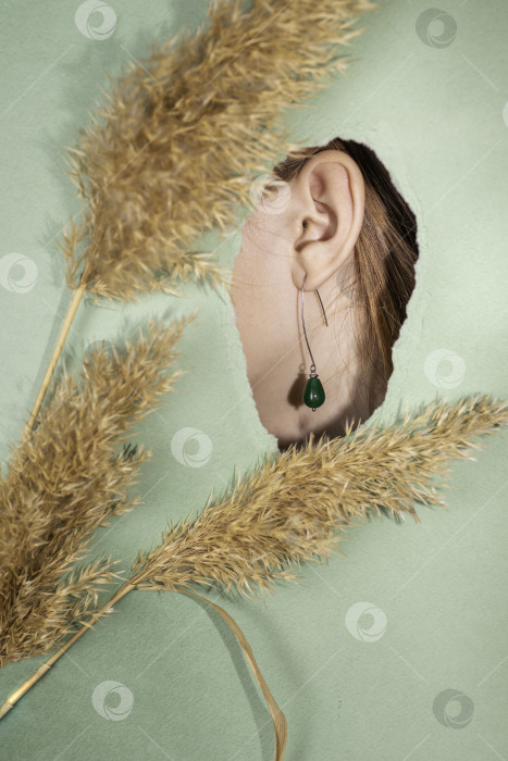 Скачать Красивая серьга крупным планом на гламурном снимке - Изображение красивого драгоценного украшения, свисающего с уха фотосток Ozero