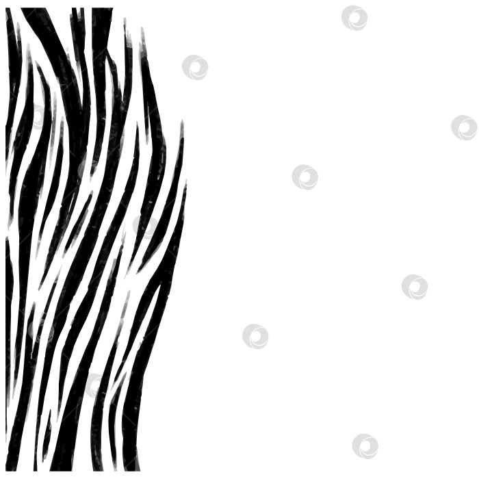 Скачать Простой векторный фон с абстрактными черно-белыми полосками в виде зебры карандашами фотосток Ozero