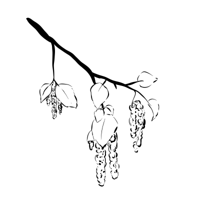 [object Object] undefined