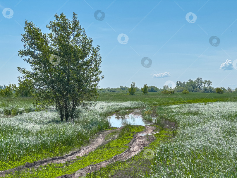 Скачать Грунтовая дорога в полях после сильных дождей фотосток Ozero