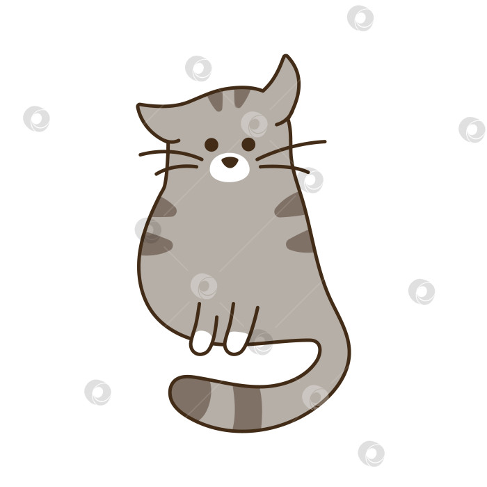 Скачать Симпатичный кот сидит в одиночестве. Домашний серый полосатый котенок опирается на лапы, смотрит. Толстый симпатичный персонаж фотосток Ozero